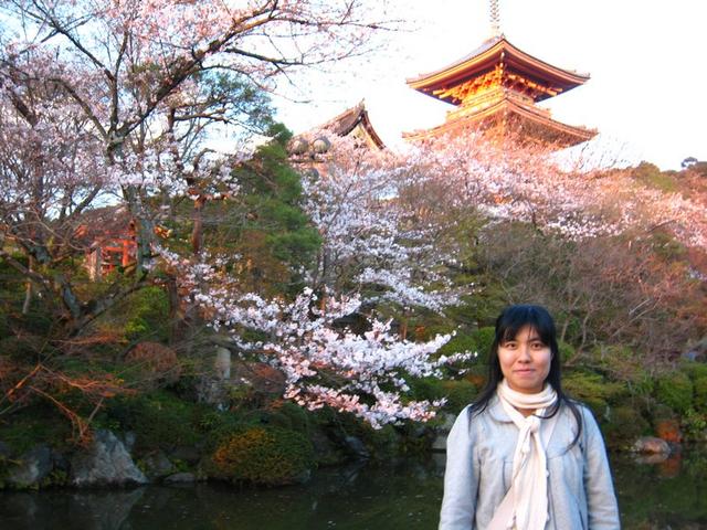 日本的櫻花, 什麼時候也這樣美~